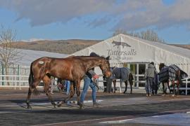 Star Gate (IRE)