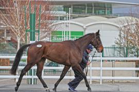 Brooksway Fair (IRE) 