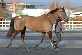 Ballingers Corner (IRE) 