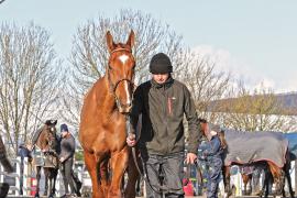 Glenglass (IRE) 