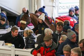 GV Lot 24 TCF4072Tattersalls