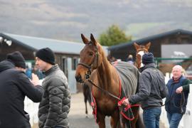 GV TCF1138Tattersalls