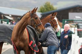 GV TCF1157Tattersalls