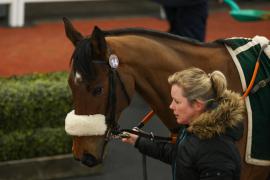 Lot  14 TCF3812Tattersalls