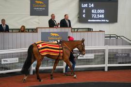 Lot  14 TCF4572Tattersalls