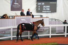 Lot  16 TCF1973Tattersalls