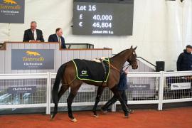 Lot  16 TCF5699Tattersalls