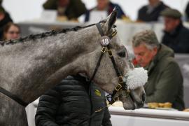 Lot  18 TCF3935Tattersalls