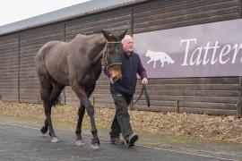 Lot  19 TCF1272Tattersalls