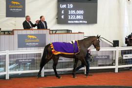 Lot  19 TCF3880Tattersalls