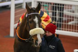 Lot  19 TCF3972Tattersalls