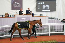 Lot  20 TCF2129Tattersalls