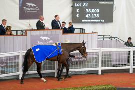 Lot  22 TCF2385Tattersalls