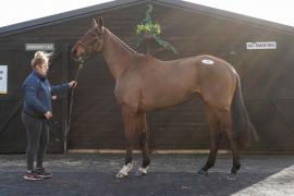 Lot  23 TCF126Tattersalls