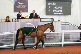 Lot  23 TCF2210Tattersalls