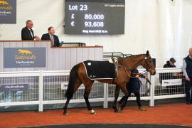 Lot  23 TCF4179Tattersalls