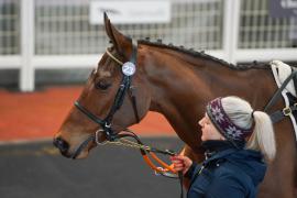 Lot  23 TCF4512Tattersalls