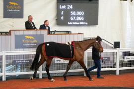 Lot  24 TCF5005Tattersalls