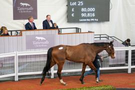 Lot  25 TCF2266Tattersalls