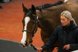 Lot  25 TCF4131Tattersalls