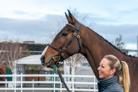 Lot  26 TCF458Tattersalls