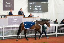 Lot  27 TCF2332Tattersalls