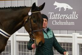 Lot  27 TCF4165Tattersalls