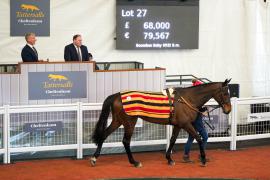 Lot  27 TCF4576Tattersalls