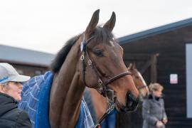 Lot  30 TCF327Tattersalls