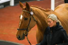 Lot  31 TCF4285Tattersalls