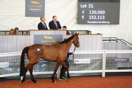 Lot  31 TCF5217Tattersalls