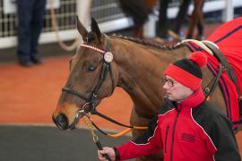 Lot  32 TCF3641Tattersalls