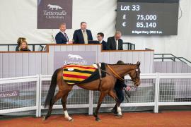 Lot  33 TCF2635Tattersalls