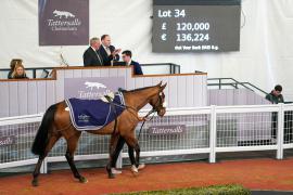 Lot  34 TCF2646Tattersalls