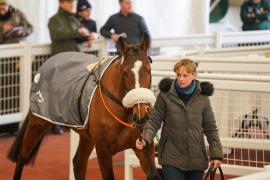 Lot  34 TCF3517Tattersalls