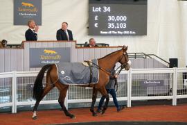 Lot  34 TCF4490Tattersalls