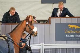 Lot  34 TCF4914Tattersalls