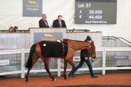 Lot  37 TCF1976Tattersalls