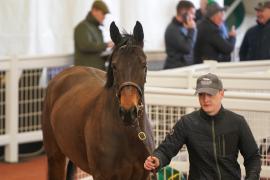 Lot  38 TCF2610Tattersalls