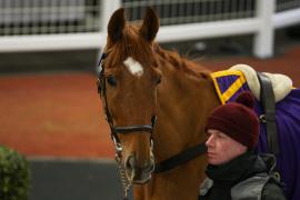 Lot  39 TCF4543Tattersalls