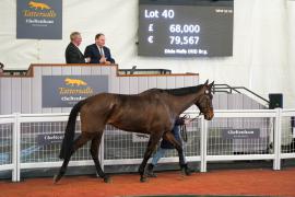 Lot  40 TCF2758Tattersalls