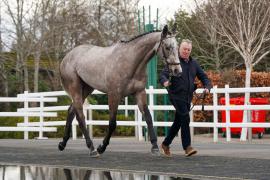 Lot  42 TCF1344Tattersalls