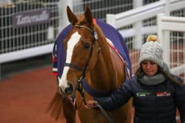 Lot  43 TCF4656Tattersalls