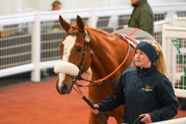 Lot  44 TCF2439Tattersalls