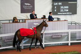 Lot  44 TCF3087Tattersalls