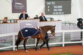 Lot  51 TCF3325Tattersalls