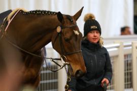 Lot  51 TCF4870Tattersalls