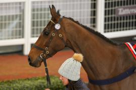 Lot  53 TCF4965Tattersalls