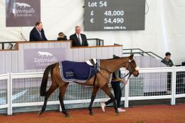 Lot  54 TCF3429Tattersalls