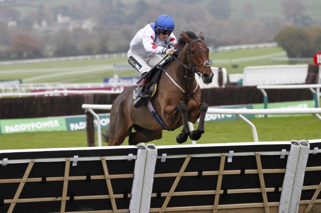 Potters Charm: winner of the Grade 2 Albert Bartlett Novices Hurdle at the Cheltenham November meeting 